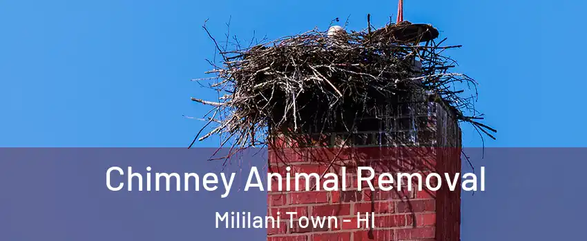 Chimney Animal Removal Mililani Town - HI