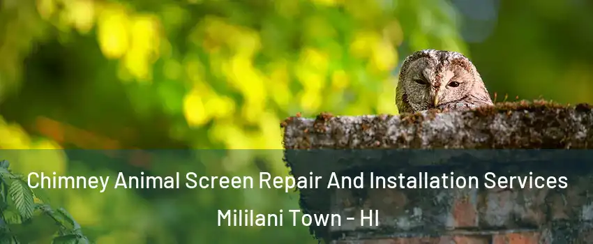  Chimney Animal Screen Repair And Installation Services Mililani Town - HI