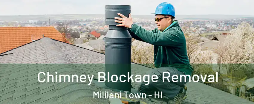  Chimney Blockage Removal Mililani Town - HI