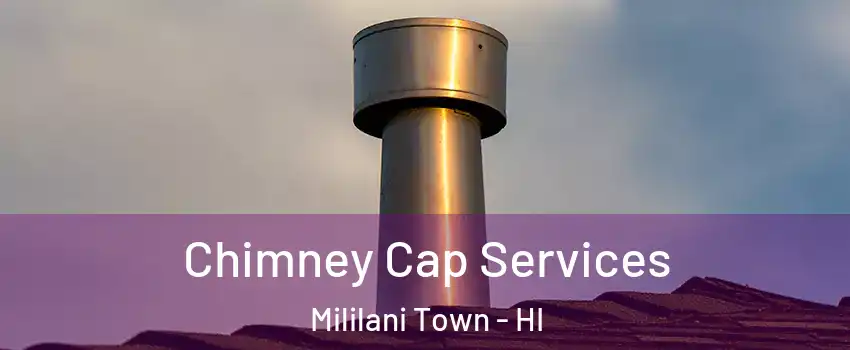  Chimney Cap Services Mililani Town - HI