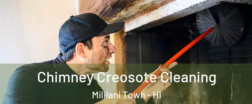  Chimney Creosote Cleaning Mililani Town - HI