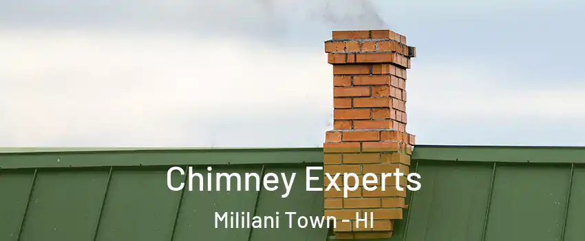 Chimney Experts Mililani Town - HI