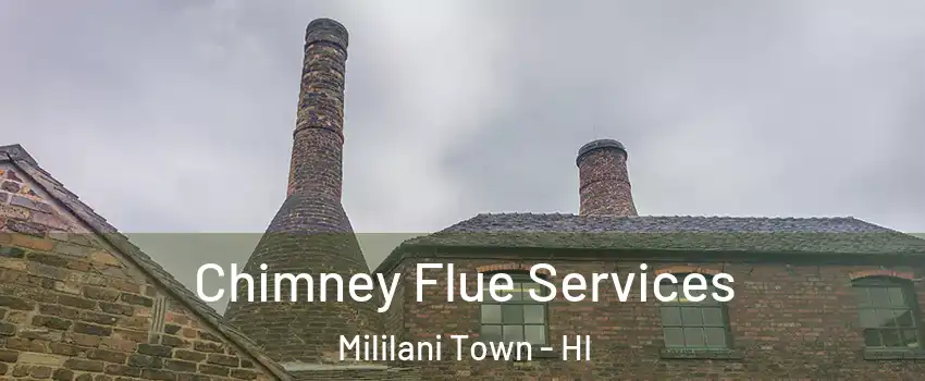  Chimney Flue Services Mililani Town - HI