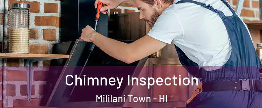  Chimney Inspection Mililani Town - HI
