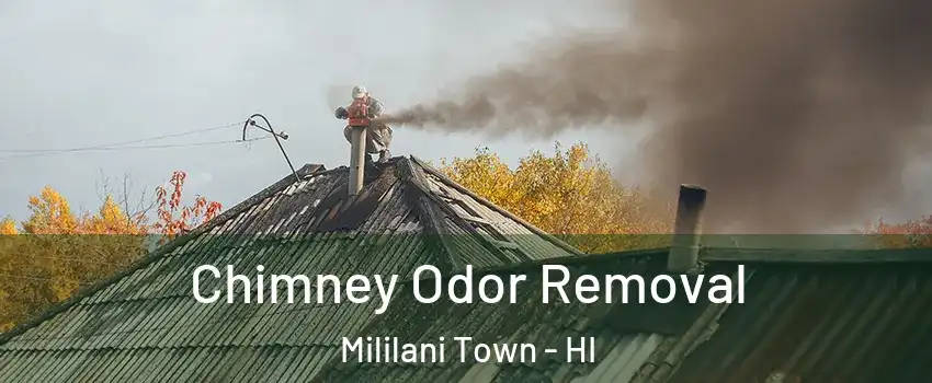  Chimney Odor Removal Mililani Town - HI