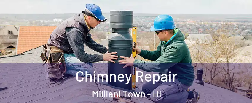  Chimney Repair Mililani Town - HI