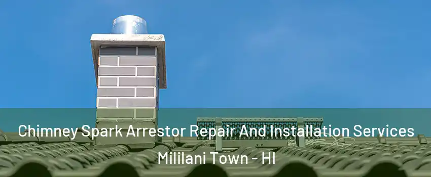  Chimney Spark Arrestor Repair And Installation Services Mililani Town - HI