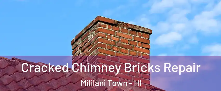  Cracked Chimney Bricks Repair Mililani Town - HI
