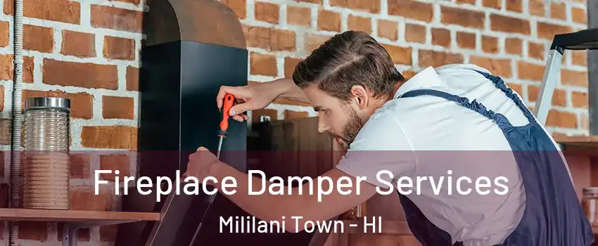  Fireplace Damper Services Mililani Town - HI