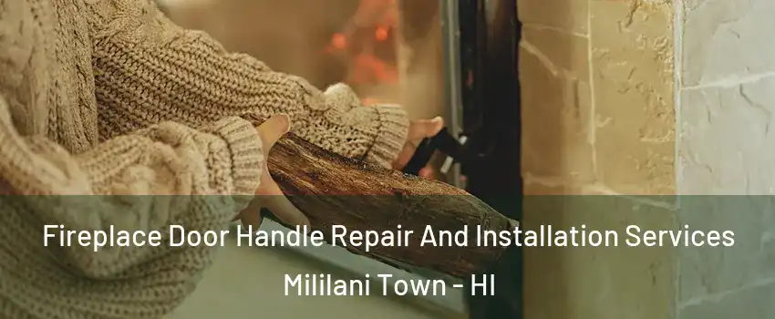  Fireplace Door Handle Repair And Installation Services Mililani Town - HI