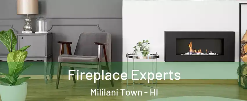  Fireplace Experts Mililani Town - HI