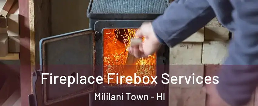  Fireplace Firebox Services Mililani Town - HI