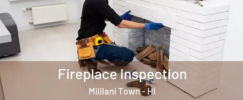  Fireplace Inspection Mililani Town - HI