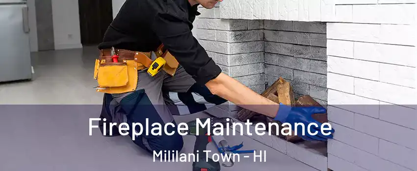  Fireplace Maintenance Mililani Town - HI