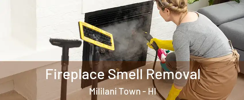 Fireplace Smell Removal Mililani Town - HI
