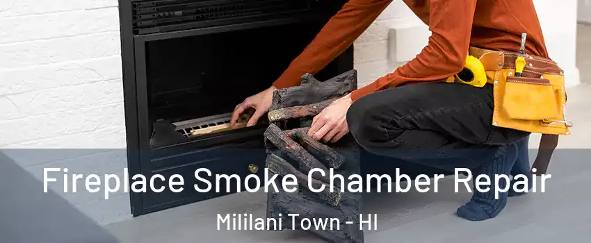  Fireplace Smoke Chamber Repair Mililani Town - HI