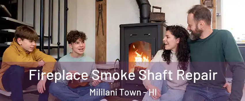  Fireplace Smoke Shaft Repair Mililani Town - HI