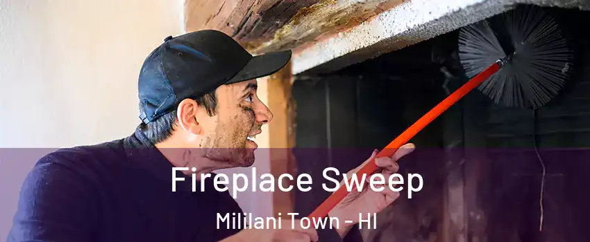  Fireplace Sweep Mililani Town - HI
