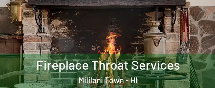  Fireplace Throat Services Mililani Town - HI