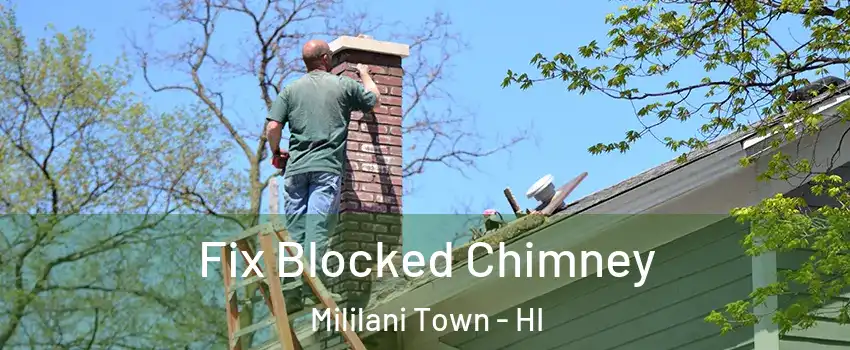  Fix Blocked Chimney Mililani Town - HI