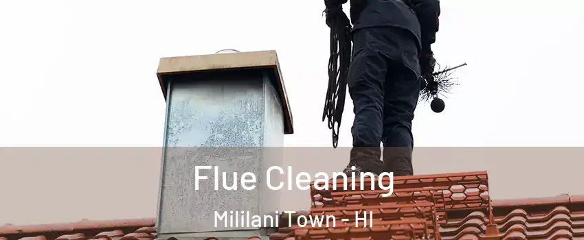  Flue Cleaning Mililani Town - HI