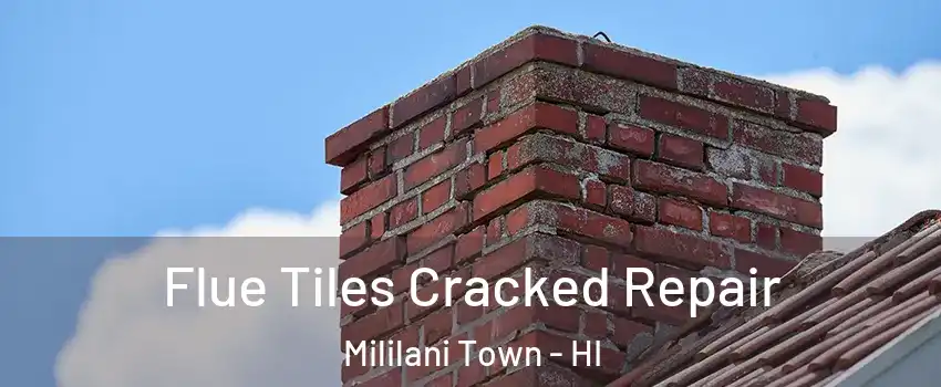  Flue Tiles Cracked Repair Mililani Town - HI