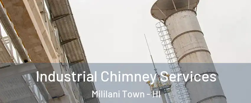  Industrial Chimney Services Mililani Town - HI