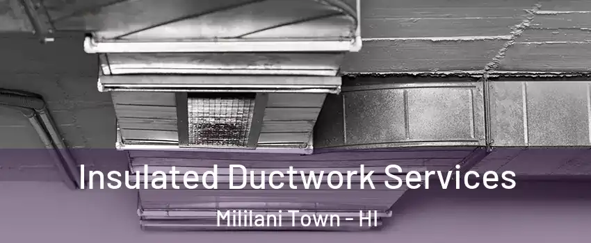  Insulated Ductwork Services Mililani Town - HI