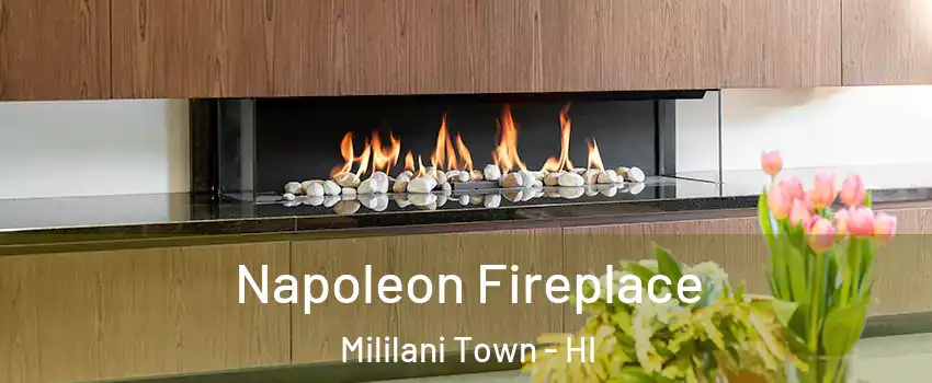  Napoleon Fireplace Mililani Town - HI