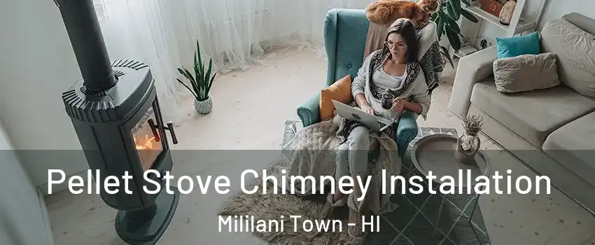  Pellet Stove Chimney Installation Mililani Town - HI
