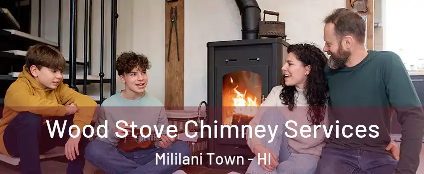  Wood Stove Chimney Services Mililani Town - HI