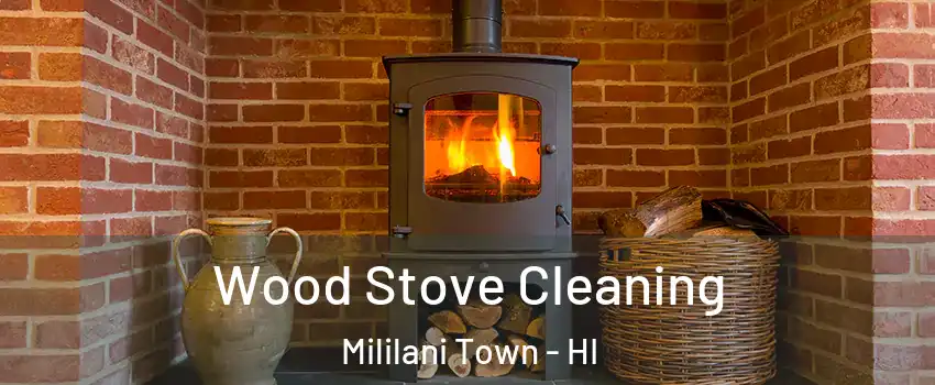  Wood Stove Cleaning Mililani Town - HI