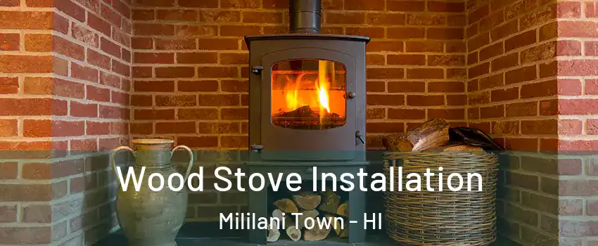  Wood Stove Installation Mililani Town - HI